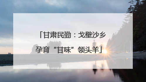 甘肃民勤：戈壁沙乡孕育“甘味”领头羊